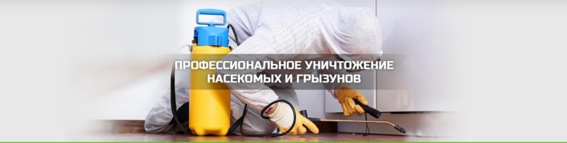 Санэпидемстанция области